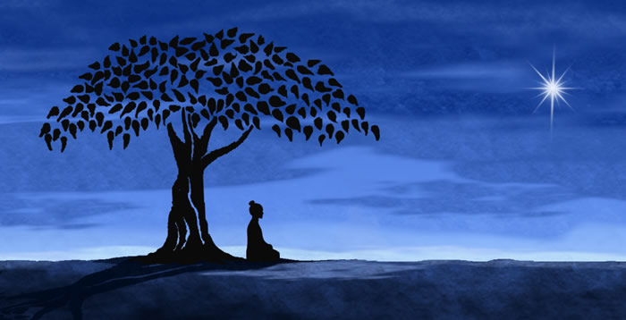 Meditation Tree